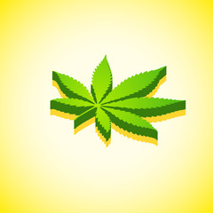 cannabis marijuana isometric design illustration.
