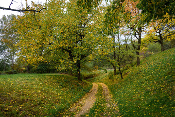 Hiking through the hills at Kutschenberg during autumn