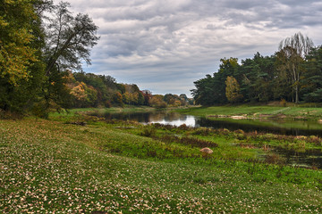 Meadows and deciduous trees on the Warta River during autumn in Poland.