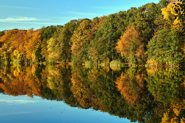 Fototapeta premium Colorful tree leaves by a lake during autumn in Poland.