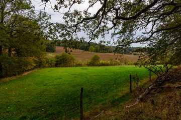View onto a green field at Kutschenberg 