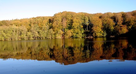 Nationalpark Jasmund, Stubnitz, Waldsee