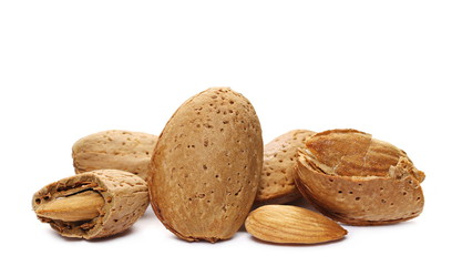 Almond kernel, nut in shell isolated on white background