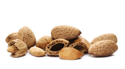 Almond kernel, nut in shell isolated on white background