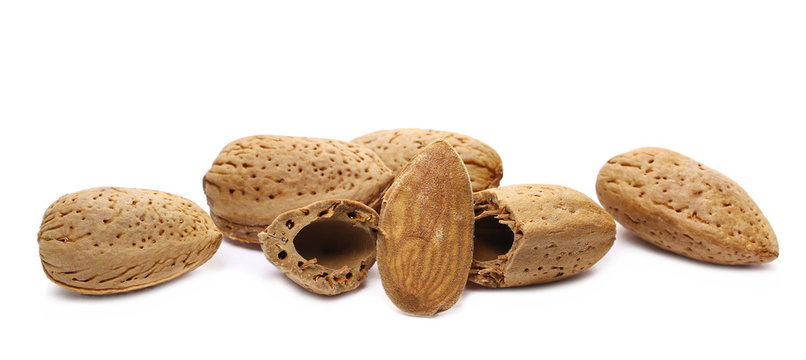 Almond kernel, nut in shell isolated on white background