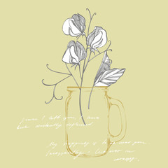 Sweet pea flowers drawing and sketch with line-art on white backgrounds. Floral pattern with flowers of sweet peas. Elegant the template for fabric, paper, postcard