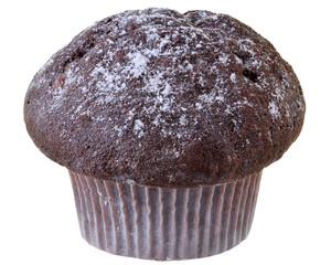 Chocolate muffin decorated with powdered sugar Isolated