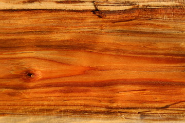 Wood texture of cut tree trunk