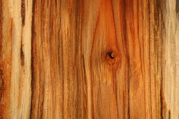 Wood texture of cut tree trunk