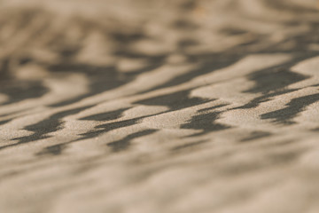 Close up of texture of sand dunes