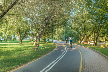 Bike path in the park with green grass and trees. Beautiful summer landscape.