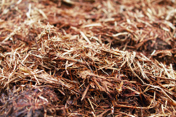 Manure. Fertilizer for the garden. Close-up. Background. Texture.