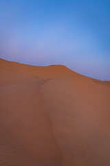 Fototapeta na wymiar Dunes of the Sahara desert. Erg Chebbi Merzouga Morocco