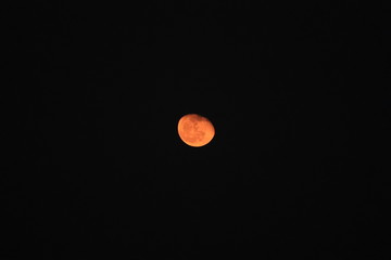 moon in the sky
