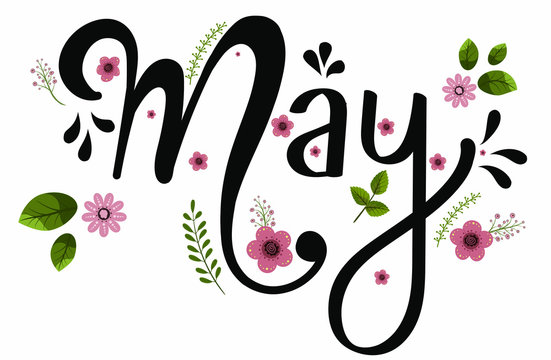 MAY month vector with flowers and leaves. Decoration text floral. Hand drawn lettering. Illustration May calendar