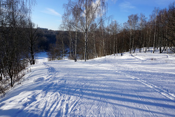 Fototapeta na wymiar Wonderful winter landscape. Winter snowy forest on a cold sunny day. Great time for an active winter holiday. Healthy lifestyle.