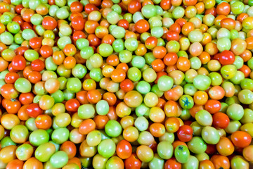 Green tomatoes, background. Harvest tomatoes, top view. Many fresh tomatoes at the vegetable market.