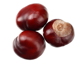chestnuts isolated on white background. top view