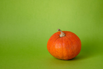 Orange halloween pumpkin on green background, holiday decoration. Fall autumn concept. Halloween,...