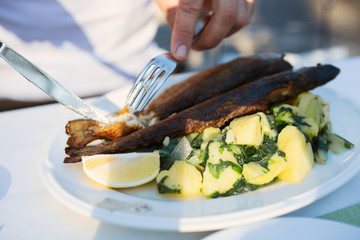 Close up view of man eating fish for lunch