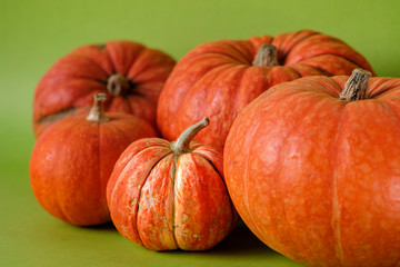 Orange pumpkins on green background, holiday decoration, Selective focus. Fall autumn concept. Halloween, Thanksgiving, Harvest