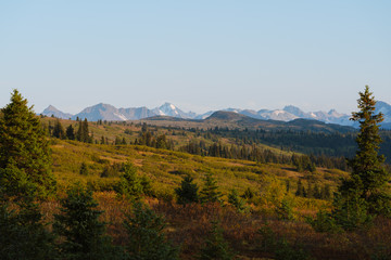 Fototapeta na wymiar Beautiful fall / autumn color of trees and mountains in remote Alaska