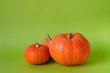 Orange pumpkins on green background, holiday decoration, Selective focus. Fall autumn concept. Halloween, Thanksgiving, Harvest