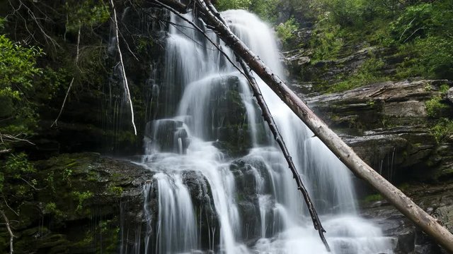Smooth waterfall in lush green forest 4K time lapse