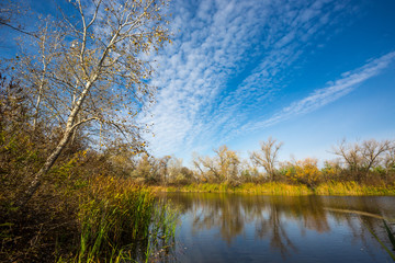 autumn scene on lake
