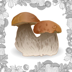 Fresh mushrooms isolated on white with monochrome frame. Vector illustration