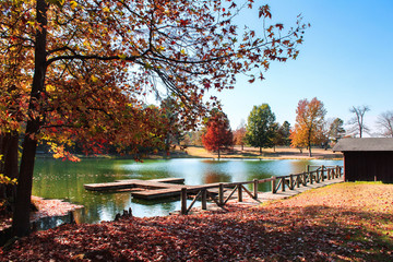 Beautifully park during Autumn/Fall