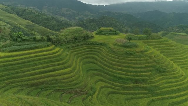 Longji Rice Terrace in Ping An Village