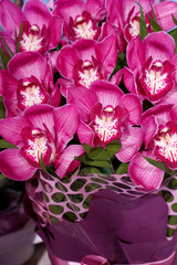  beautiful bouquet of pink orchids