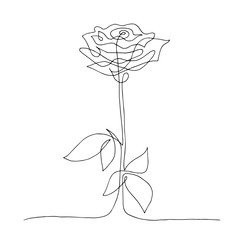 Beautiful rose with leaves drawn by a continuous line. Vector illustration.