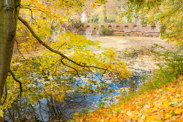 autumn the Park lake is surrounded by yellow autumn trees