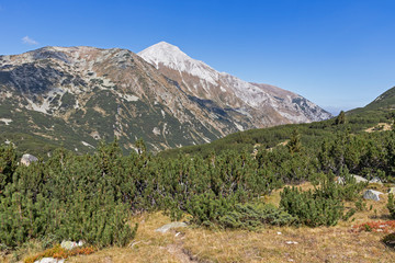 Landscape with Vihren Peak, Pirin Mountain, Bulgaria