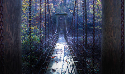 Creepy bridge in the forest 