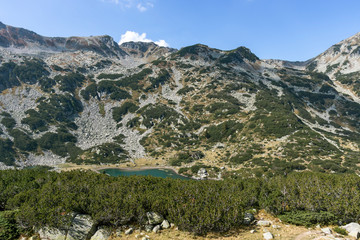 Fototapeta na wymiar Banderitsa Fish lake, Pirin Mountain, Bulgaria
