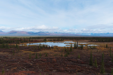 Beautiful fall / autumn color of trees and mountains in remote Alaska