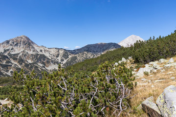 Landscape of Banderitsa River Valley, Pirin Mountain, Bulgaria