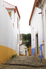 Fototapeta premium Obidos, Portugalia. Old town. 