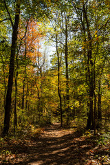 Colorful Hiking Trail