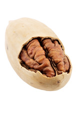 pecan close-up macro high resolution isolated on white background clipping path