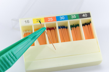 gutta-percha pins in a set of different sizes for root canal fillings, one pin close-up in...