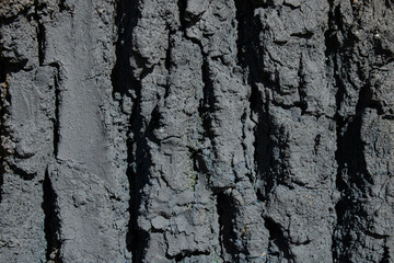 Textured old tree bark.Beautiful nature background.Eco style.
