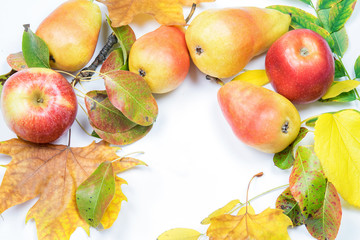Vignette of some fresh fruits and dy leaves on the white background. Autumn colorfulness concept.