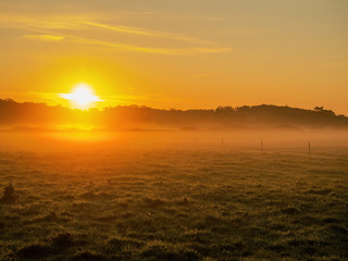 Golden sun rise in a field, Fog over grass makes sun haze. Calm and surreal atmosphere. Selective focus.