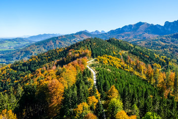 Fototapeta na wymiar view from treetop walk grünberg near gmunden, upper austria, autumn