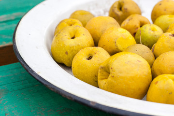 yellow quince on white old plate