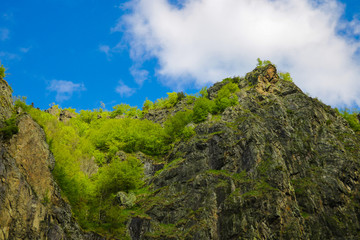 View of the peaks of the mountains, covered with greenery, against the blue sky.